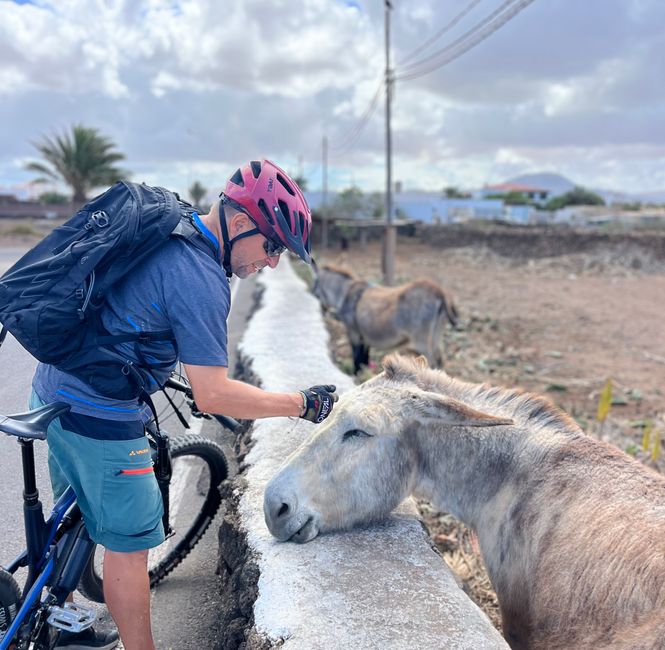 The next day, I sit in the saddle again for the first time after my accident