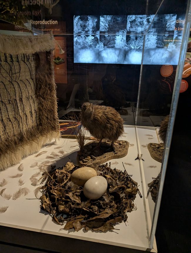 Te Pūia