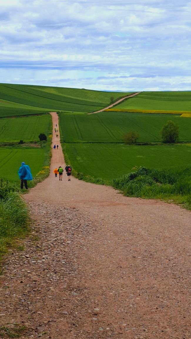 Le Chemin ❤️