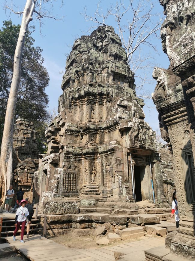 Auf Tempeltour in Siem Reap (Reload)