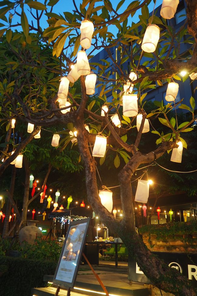🇹🇭 We discover Chiang Mai and experience the Loy Krathong Festival of Lights✨