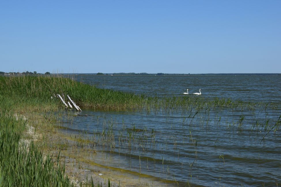 Darß und Fischland im Mai 2018