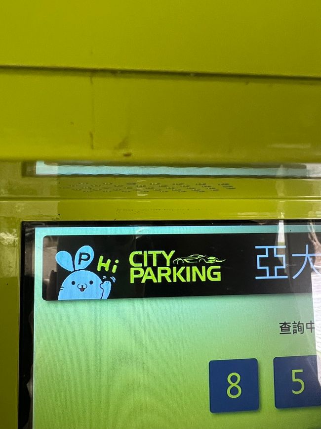 Parking bunny