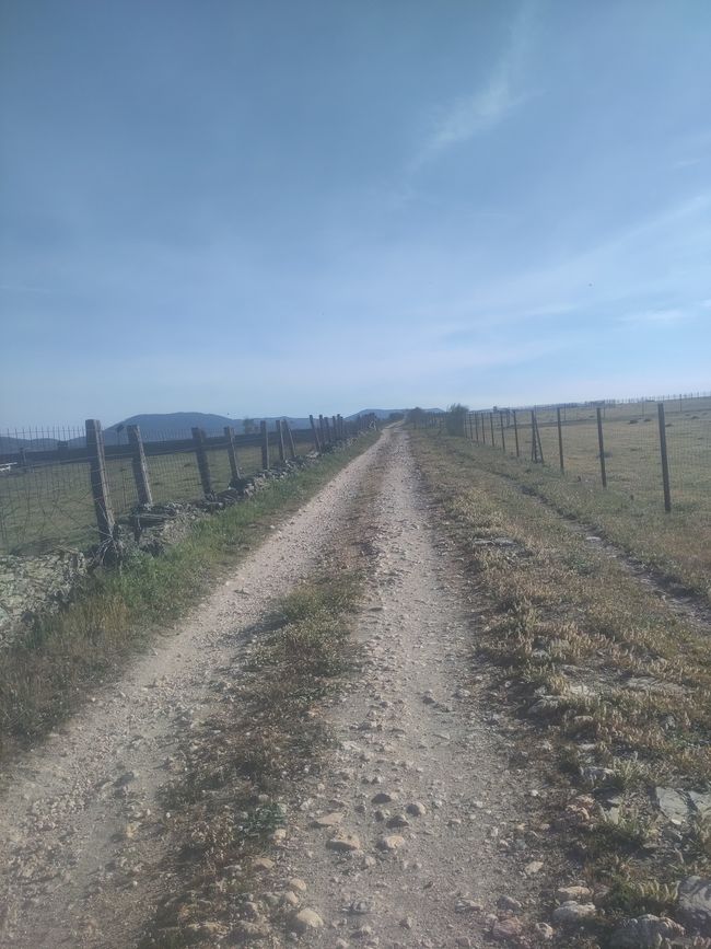 und immer weiter auf der Via de la Plata...