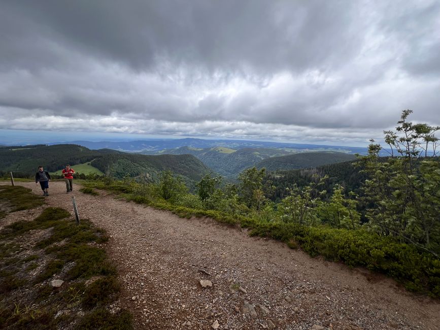 26 Feldbergsteig Escursione Pro Wolermoos