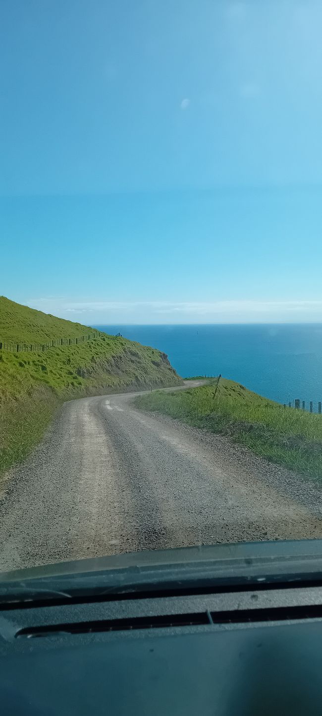 Coromandel Norte