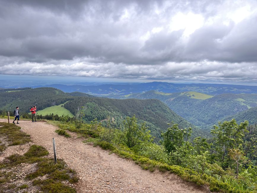 26 Feldbergsteig Escursione Pro Wolermoos