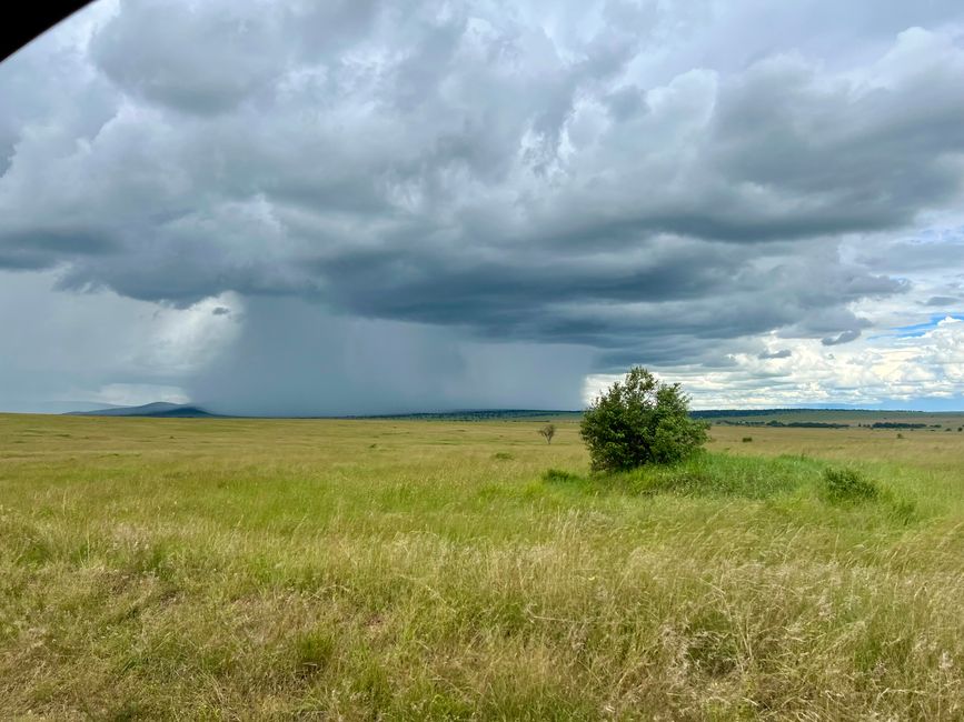 Masai Mara