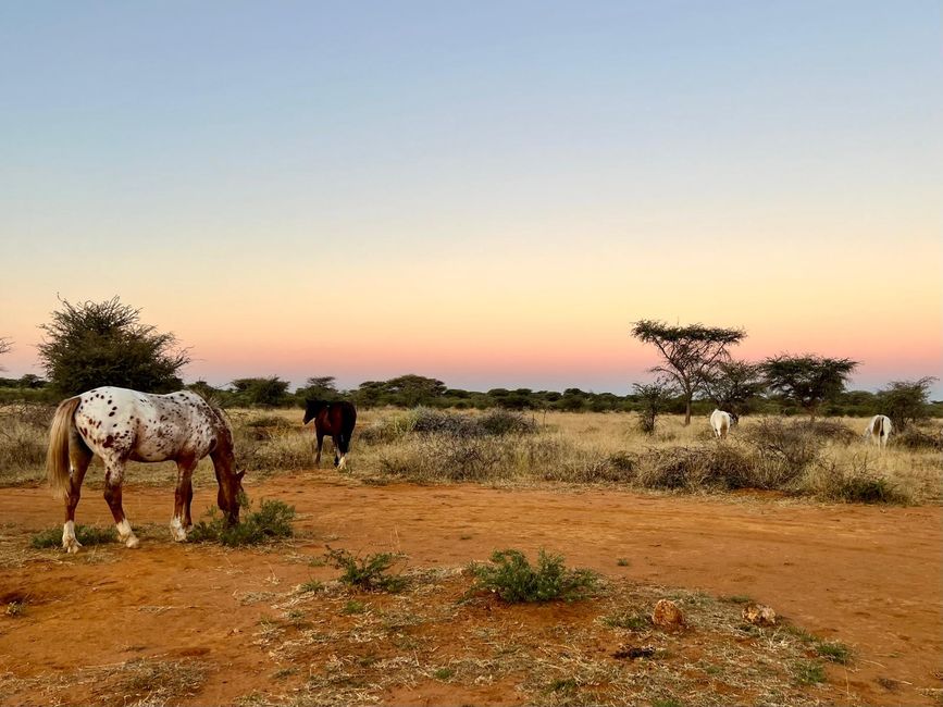 Namibia 2024: On horseback
