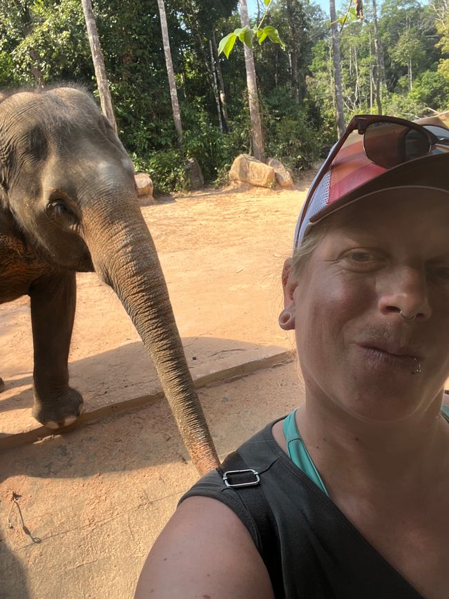 Tag 16 - Phu Quoc: Tierische Higloghts und glitzerndes Einhorn