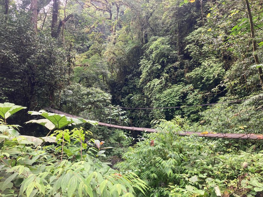 Monteverde