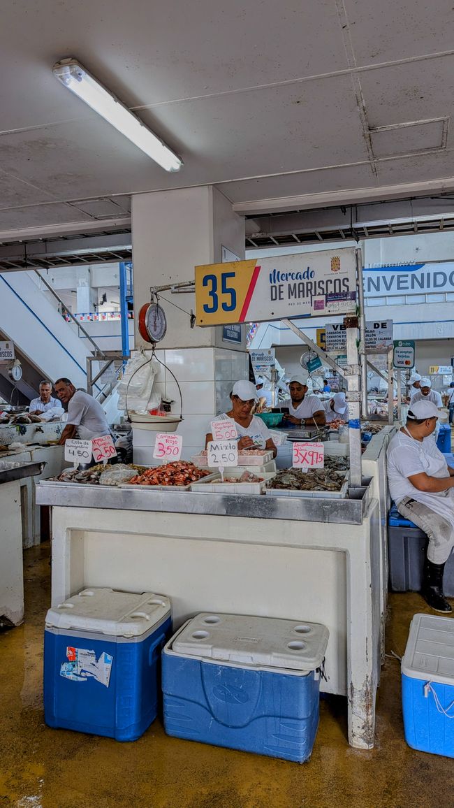 Fish Market 