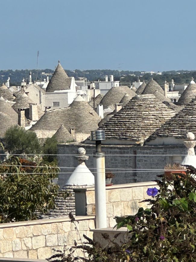 Trulli round buildings