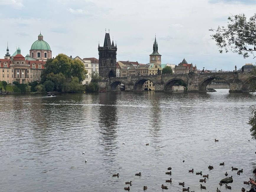 Praga