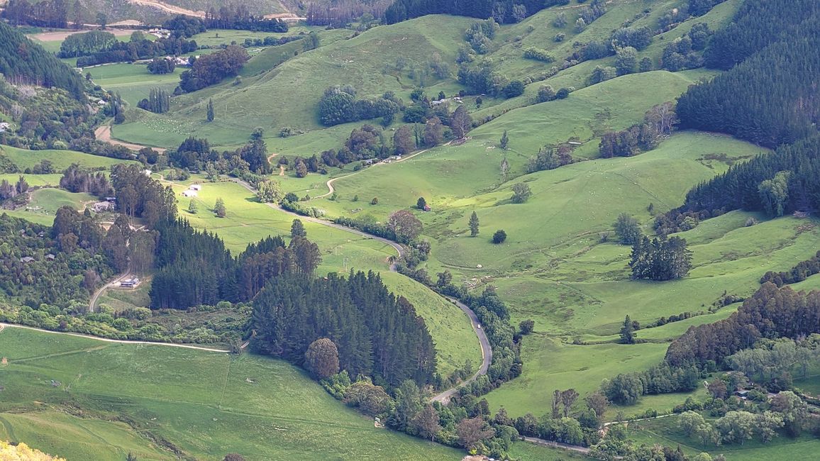 Von den Seehunden weiter in den Abel Tasman-Nationalpark