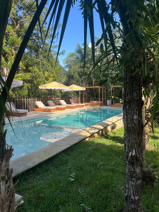 Noël tropical