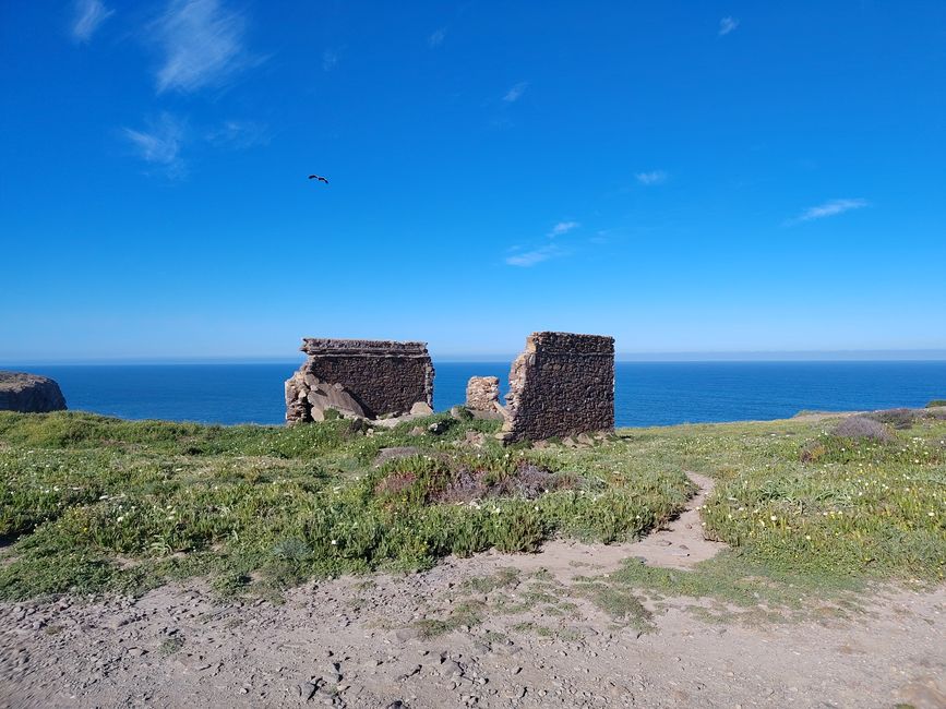 Arrifana -> Aljezur