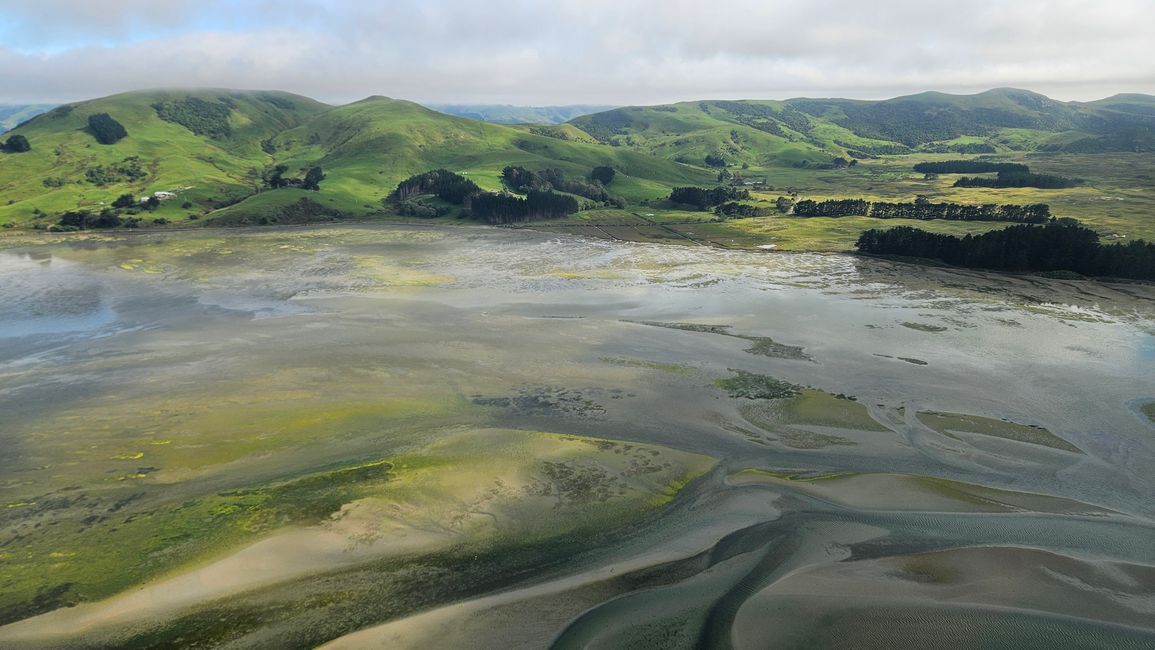 Timaru - Oamaru - Moeraki - Dunedin - Otago Peninsula - Oamaru