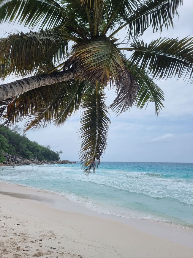 Seychellen - Tag 10: Vom schönsten auf den 2. schönsten Strand