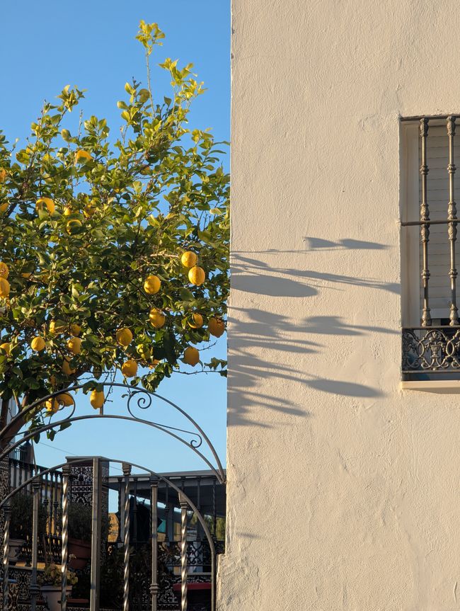 Sevilla- eine Woche spanische Sonne Teil 1