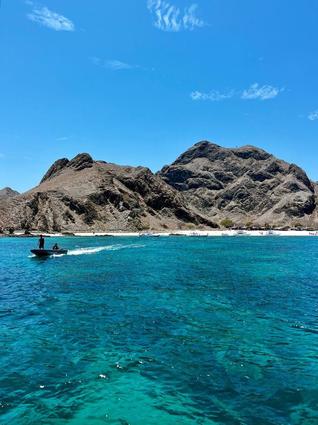 Komodo Tour