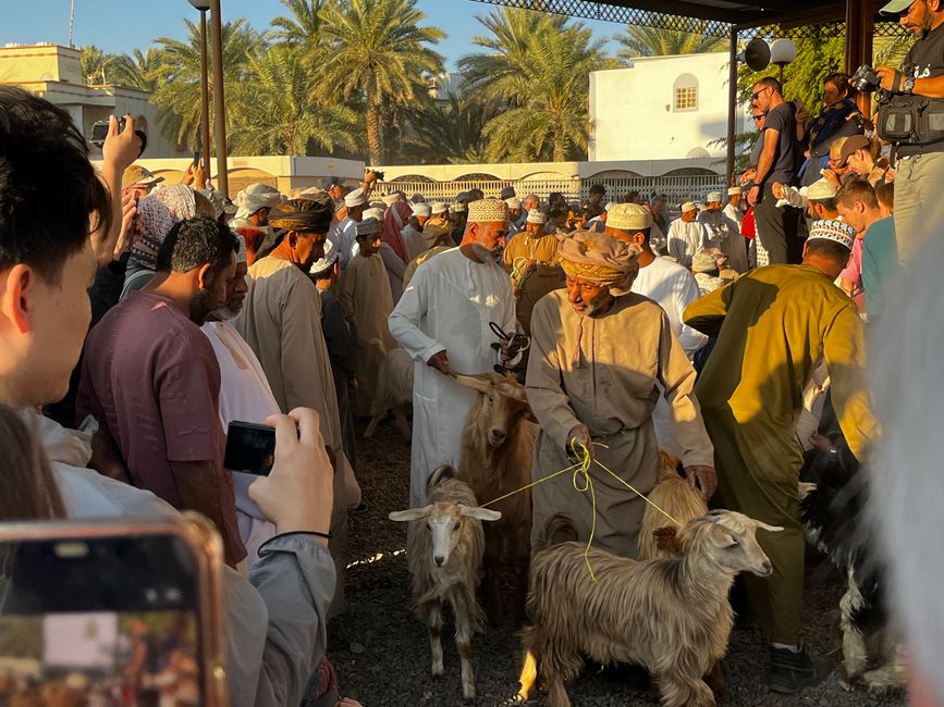 Nizwa