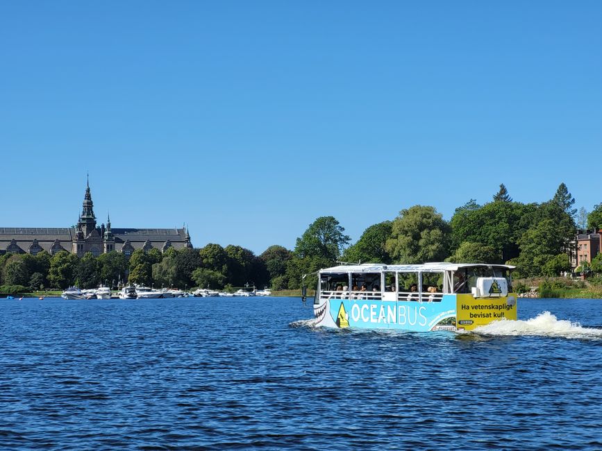Ocean Bus
