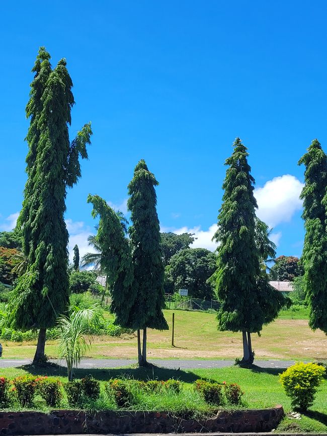 Giorno 74 di 175: Crociera intorno al mondo - Lautoka/Fiji