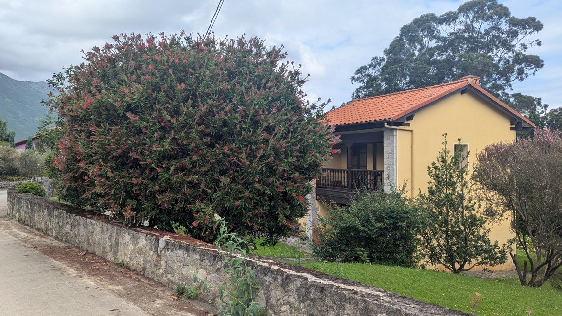 13. Stage Camino del Norte from Barro to Camango