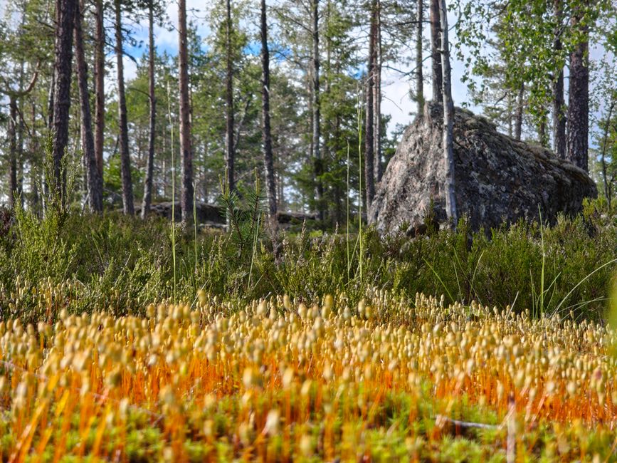 Respirer à Gävle