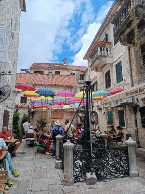 2025 Kotor Hop on Hop off