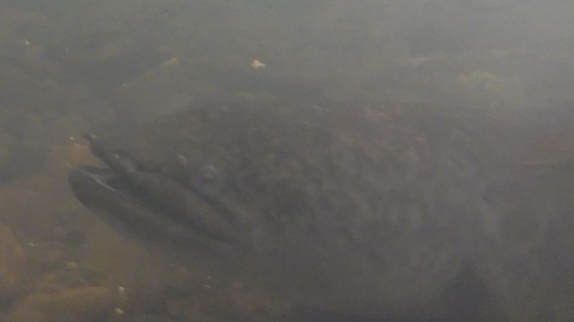 Unterwasser