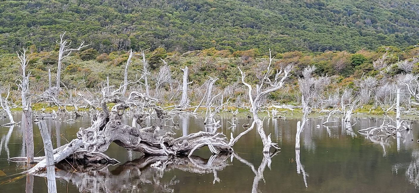 Unterwegs im Feuerland-Nationalpark