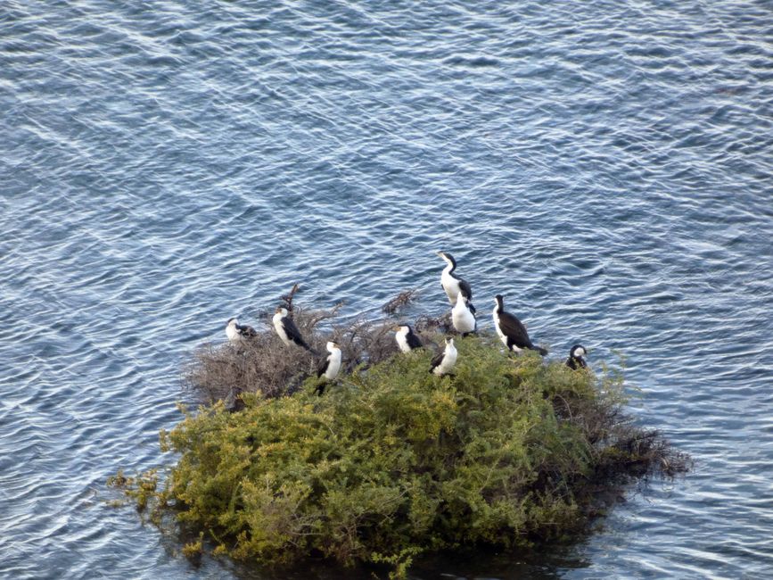Kingscote, Kangaroo Island