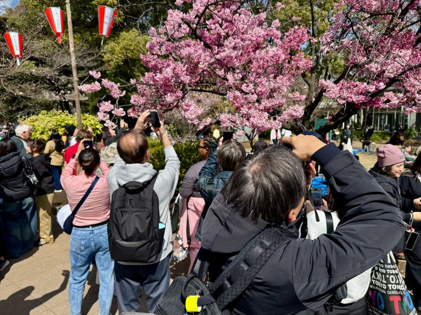 Parte 7
BENVENUTO IN GIAPPONE 🇯🇵
TOKYO