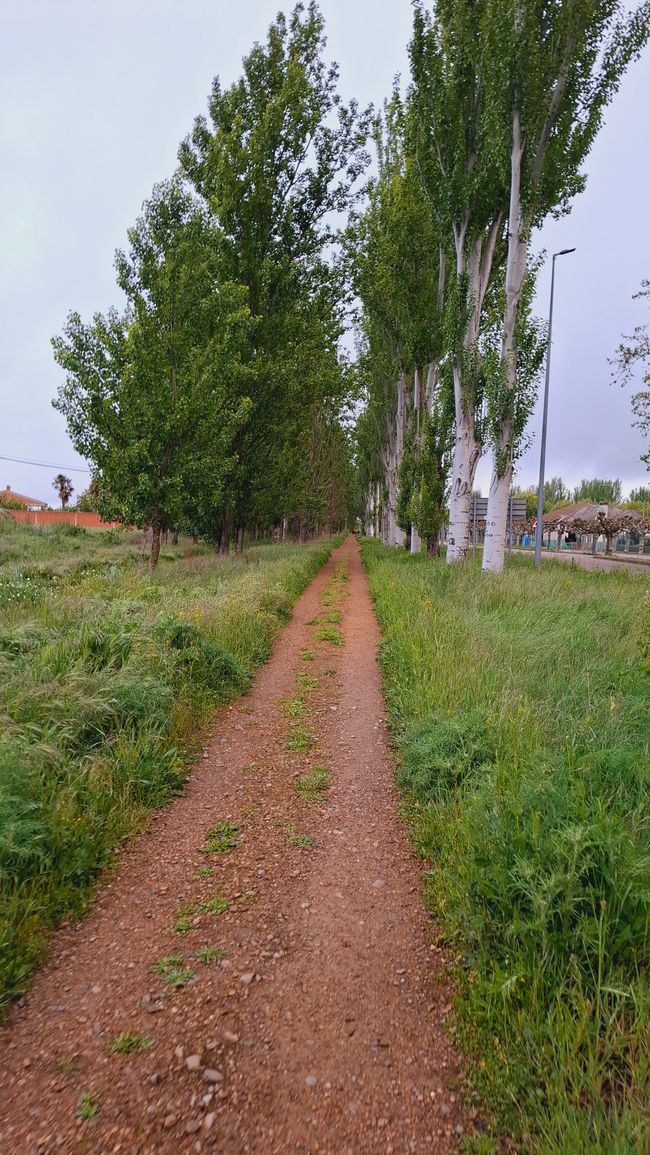Encore une étape à plat jusqu'à El Burgo Ranero 