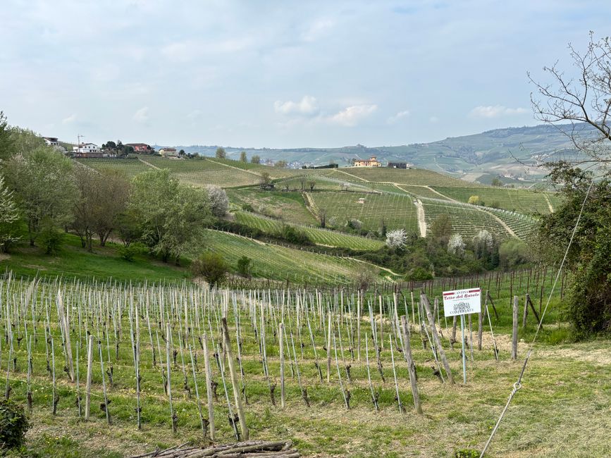 Terre de Barolo Visitantes