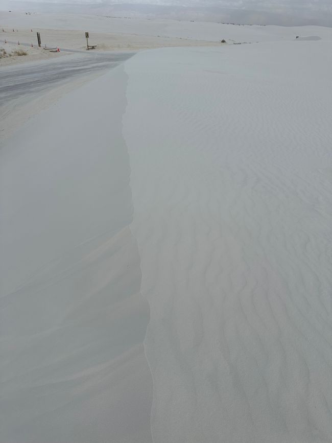 Arizona/ New Mexico/ Petrified Forest/ White Sands