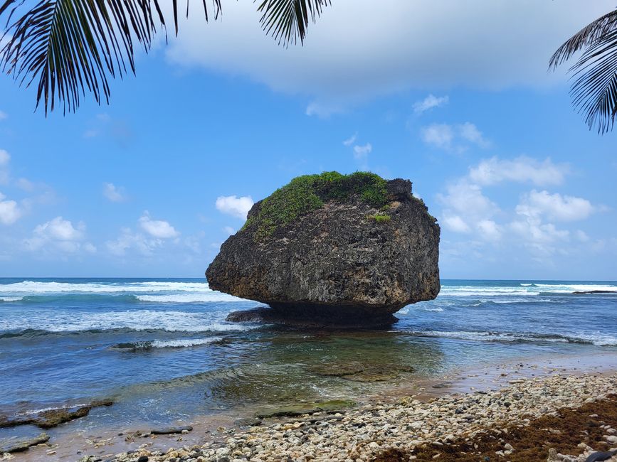 Ostküste von Barbados