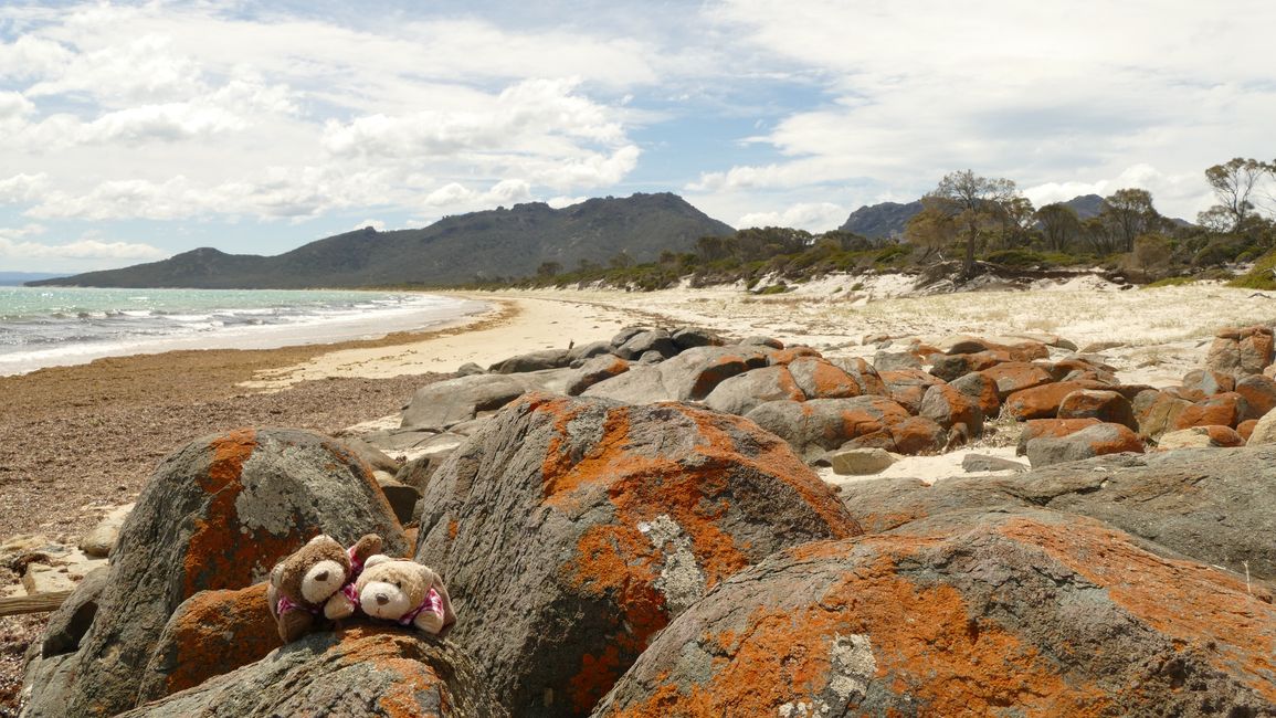 - Singapur & Tasmania 2019 -