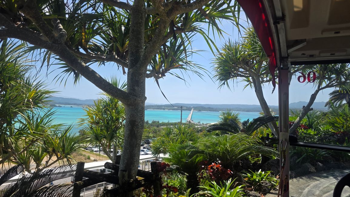 Okinawa Nuchi du takara (Life is the very thing we treasure)