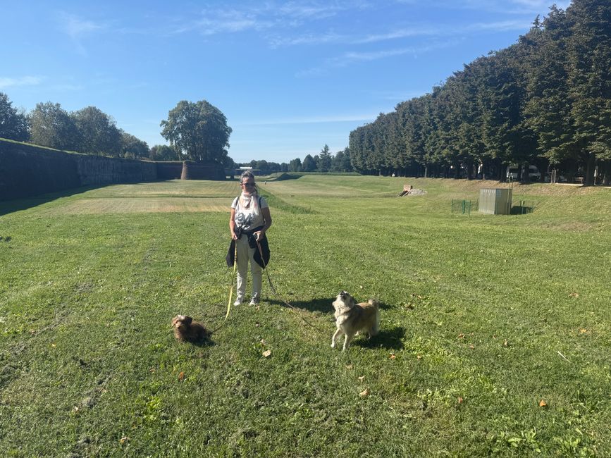 Icke mit Emmi und Pipo auf der riesigen Grünfläche, die rings um die Stadtmauer liegt.