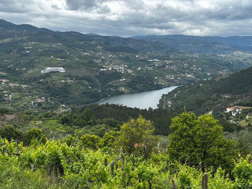 Das Douro Tal