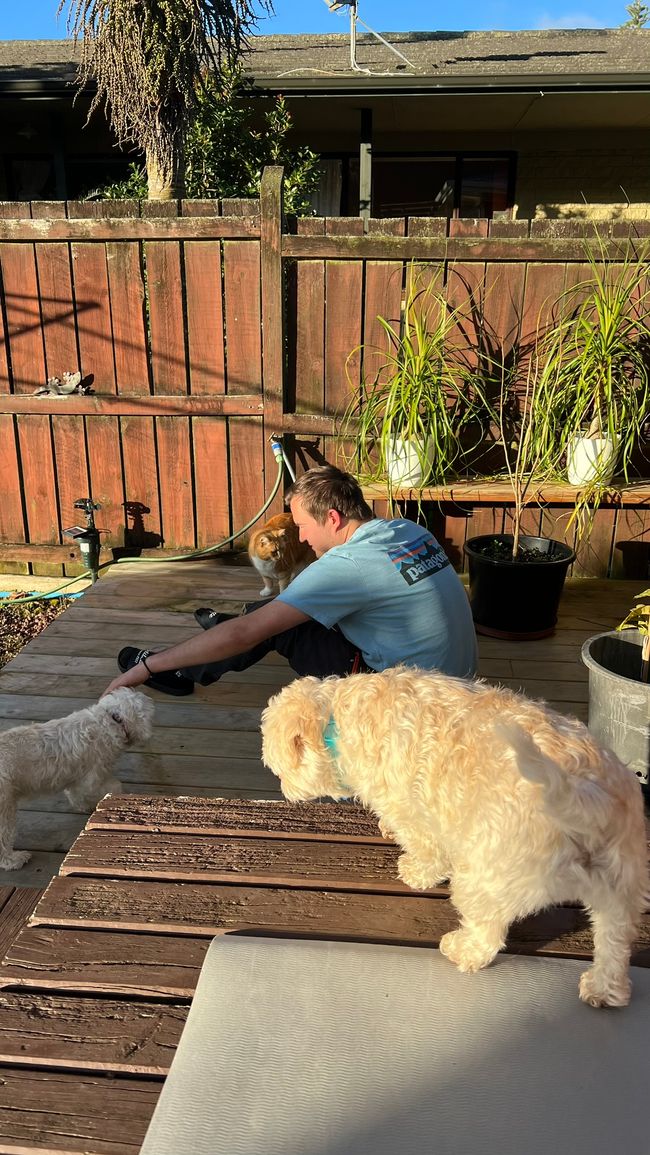 Um diese vier darf sich Franzi kümmern ;)