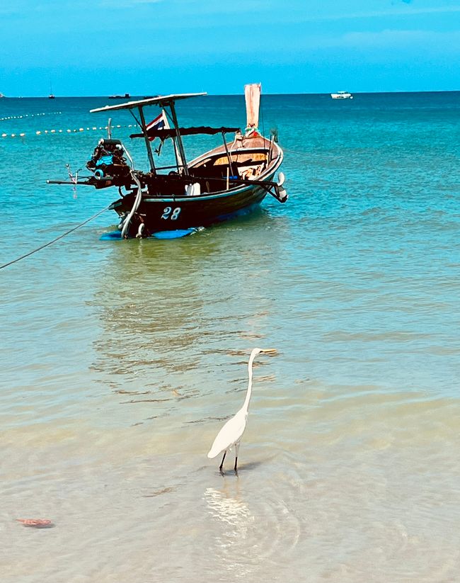 Ruhiger Strandabschnitt