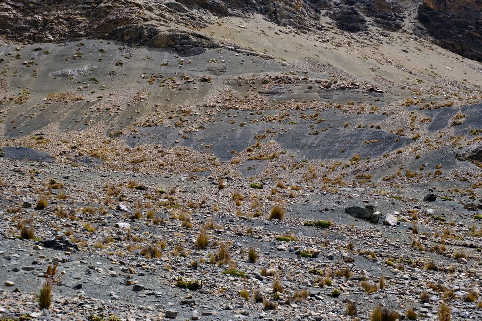 Huaraz 🦙