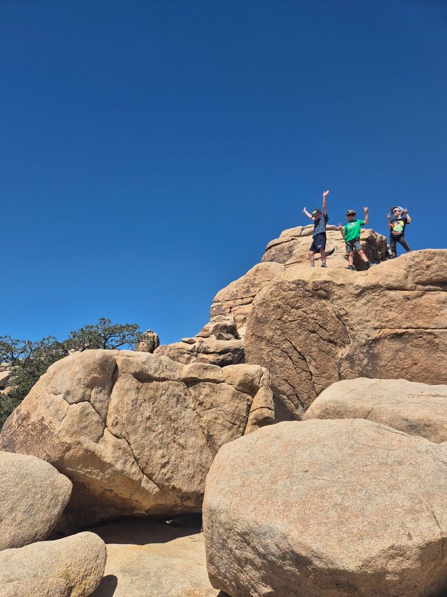 Parc national de Joshua Tree