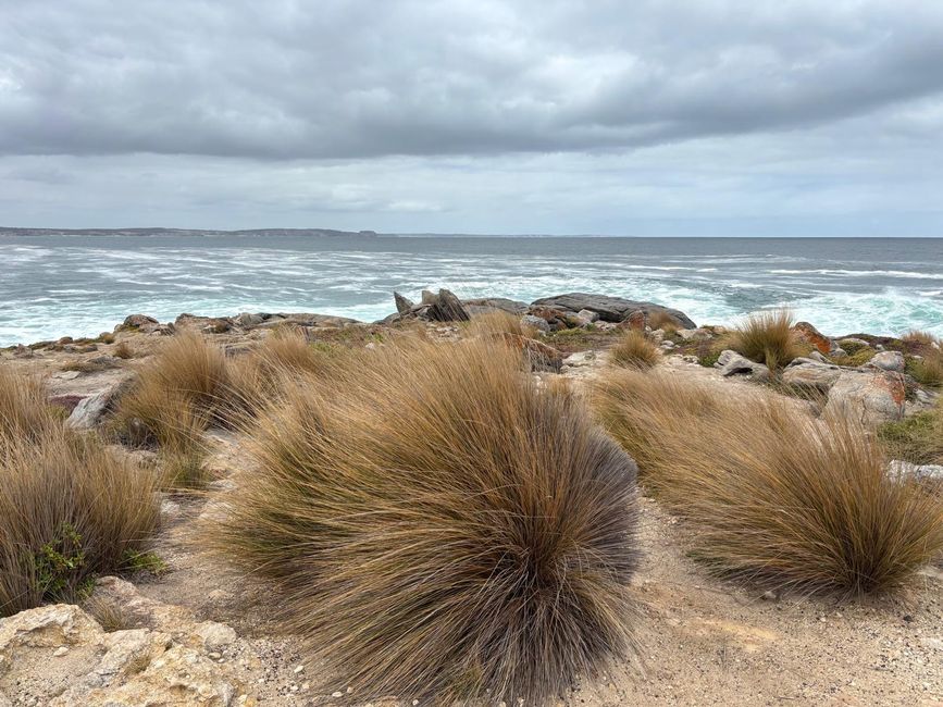 Kangaroo Island