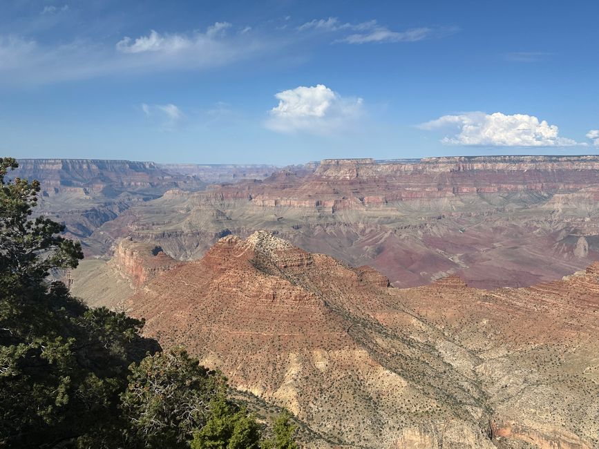 Lake Powell/ Horse Shoe/ Grand Canyon