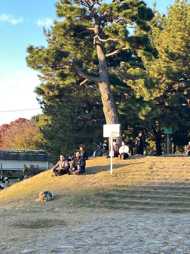 22.Kapitel: Niinamatsuri, ein Sonntag in Kyoto